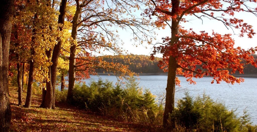 Tree Inventory Management